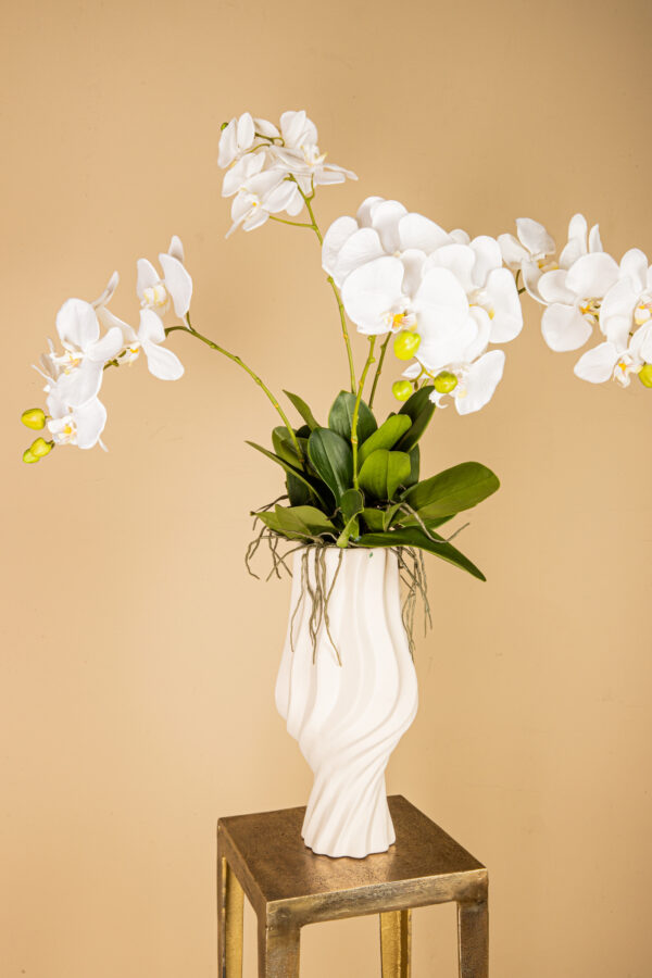 PTMD Orchid Flower White orchid spray with leaves roots - Afbeelding 2