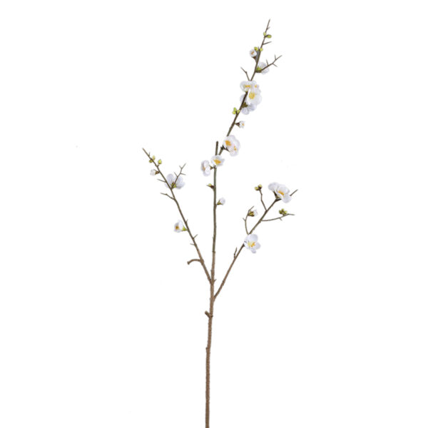 PTMD Blossom Flower White cherry blossom simple twig