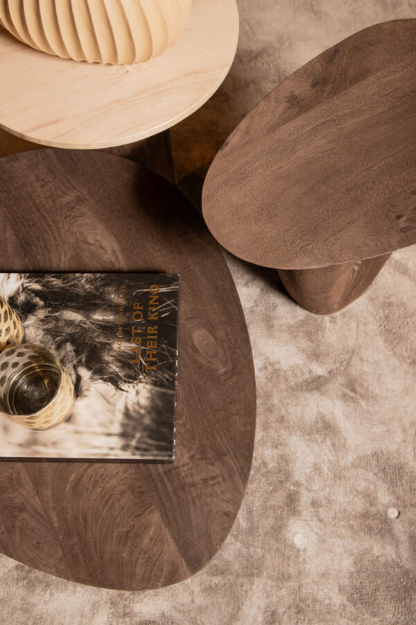 PTMD Harshad Bruine Mango Houten Salontafel Biologisch - Afbeelding 5