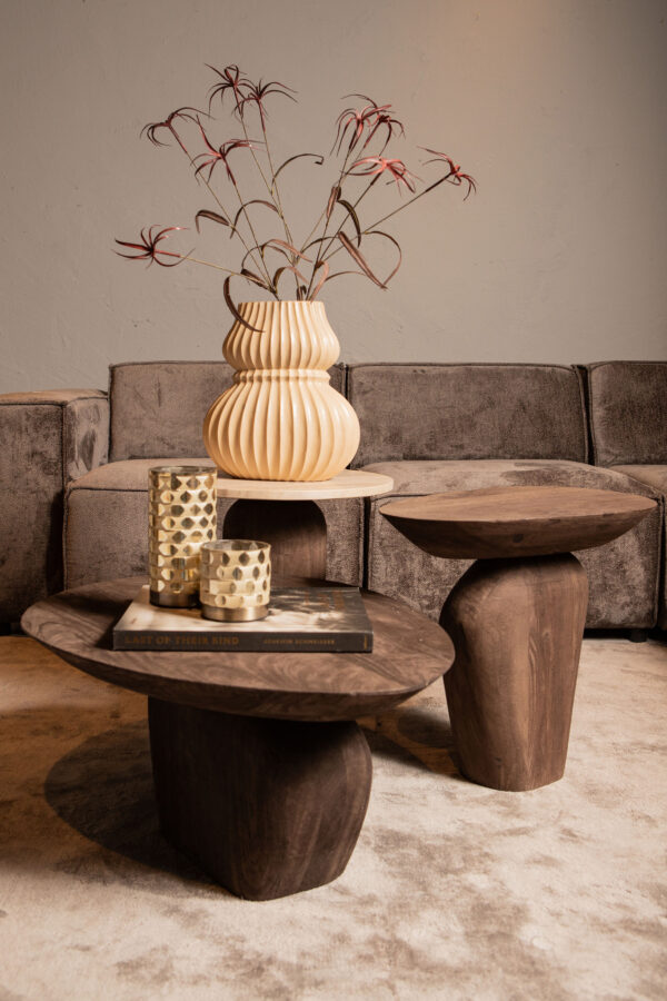 PTMD Harshad Bruine Mango Houten Salontafel Biologisch - Afbeelding 6