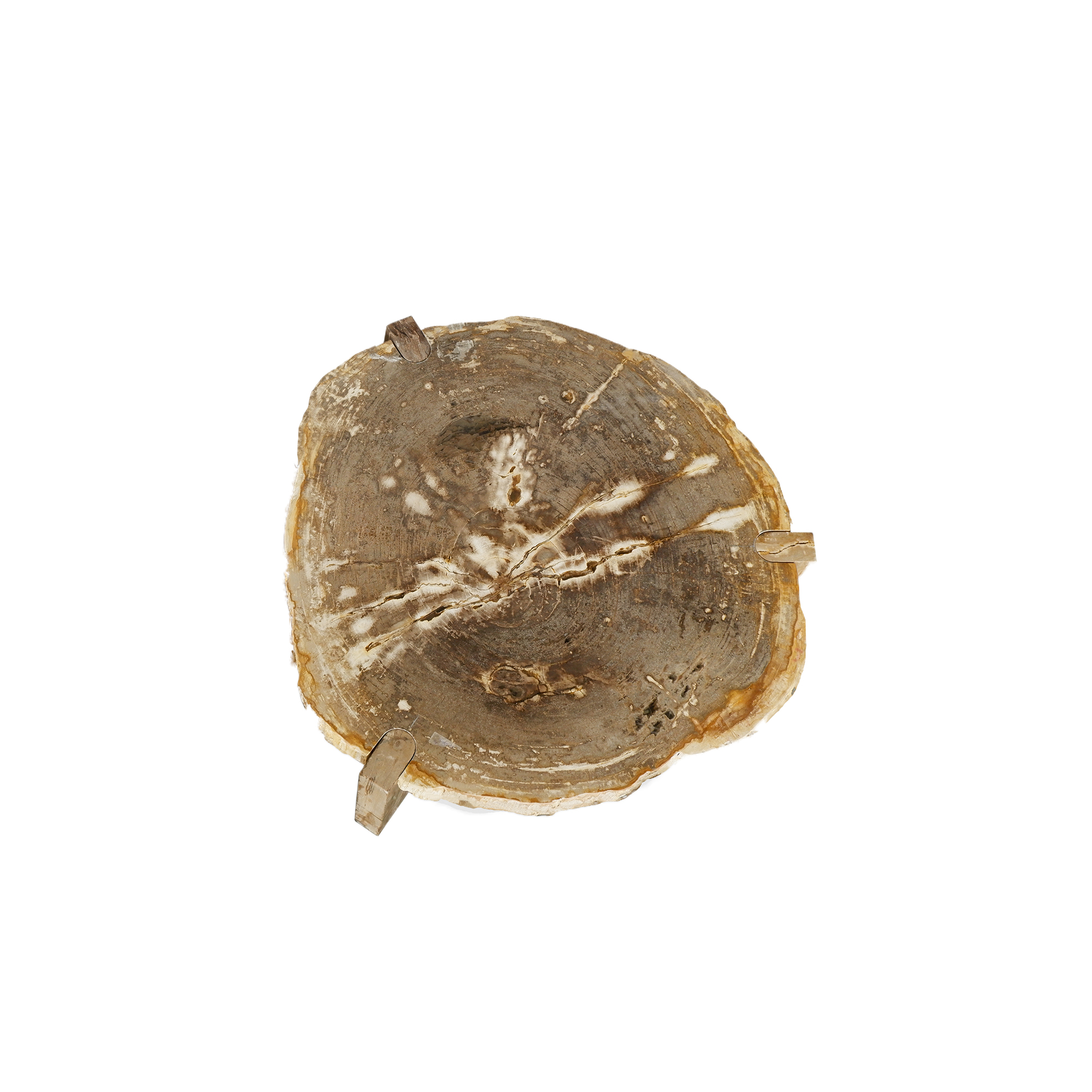 PTMD Kayo naturel versteend hout 3-poot hoge salontafel - Afbeelding 2