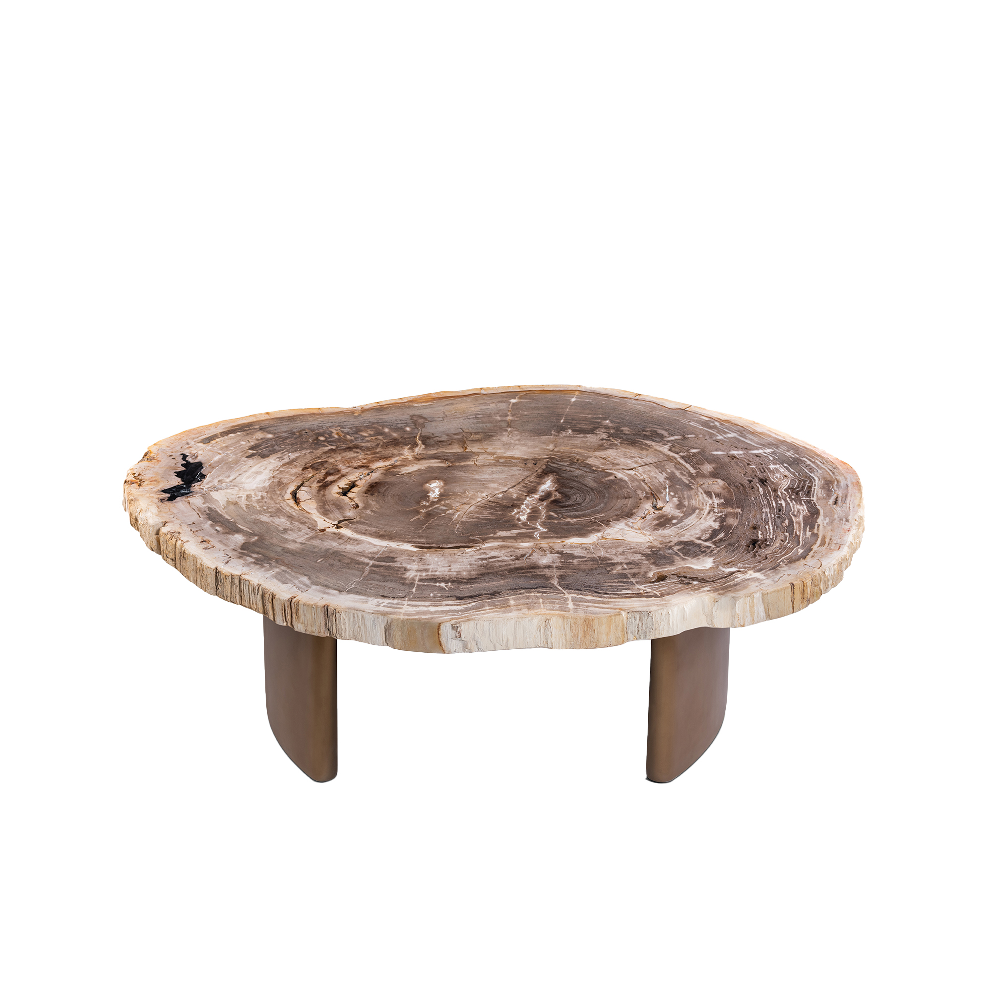 PTMD Yoel salontafel van natuurlijk versteend hout met messing onderstel - Afbeelding 2