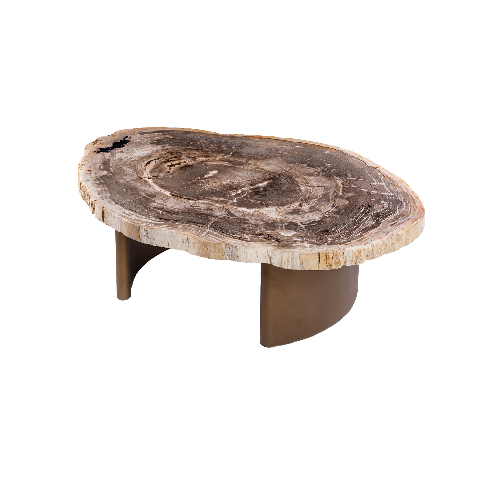 PTMD Yoel salontafel van natuurlijk versteend hout met messing onderstel - Afbeelding 3