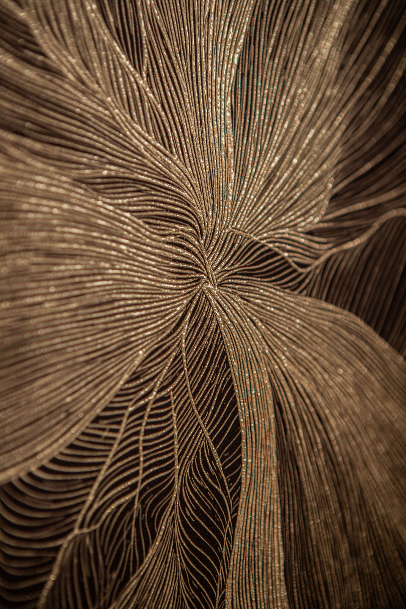 PTMD Lorinde Donkerbruin Canvas-wandpaneel Bloemenkunst - Afbeelding 2