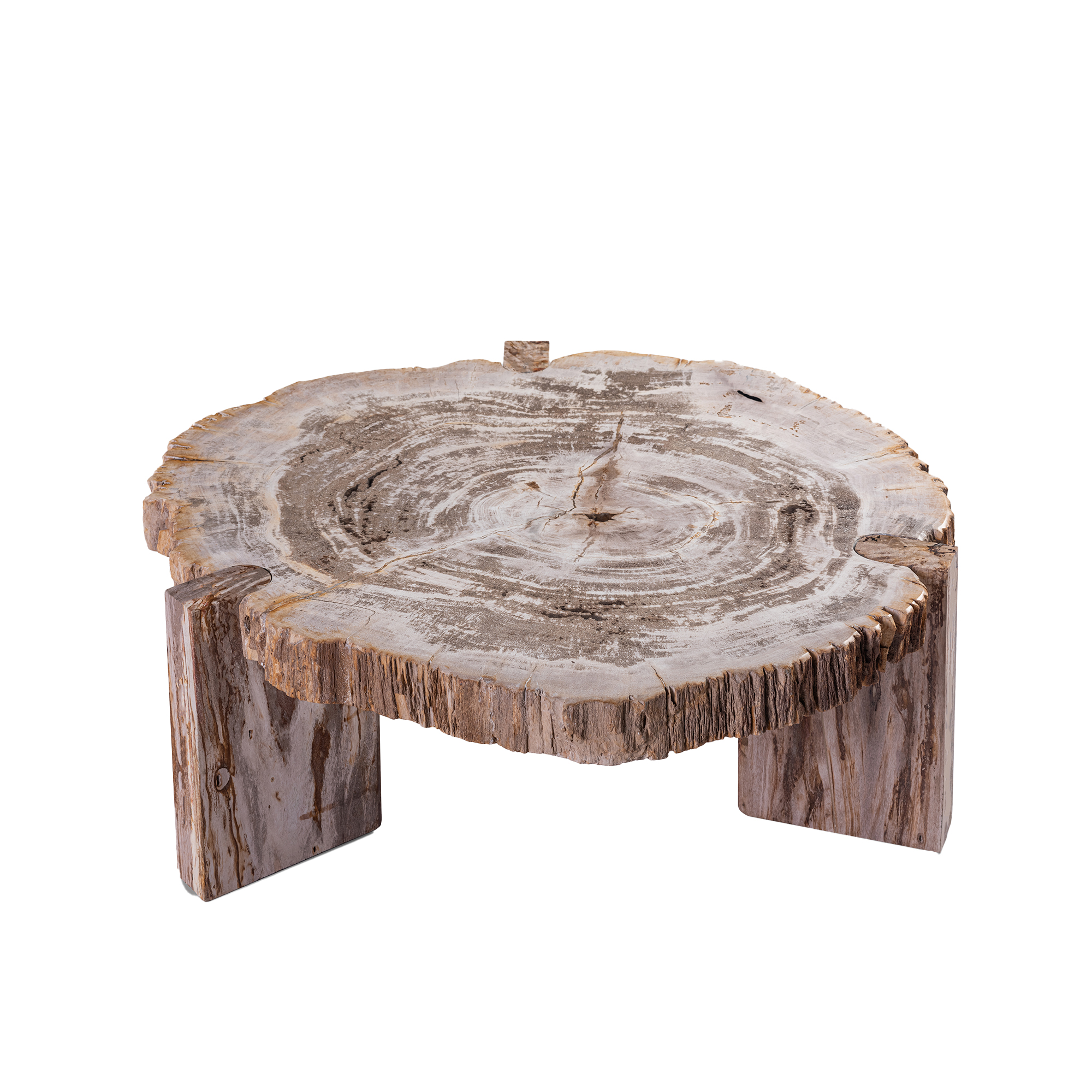 PTMD Kayo salontafel van natuurlijk versteend hout, driepoot, laag - Afbeelding 2