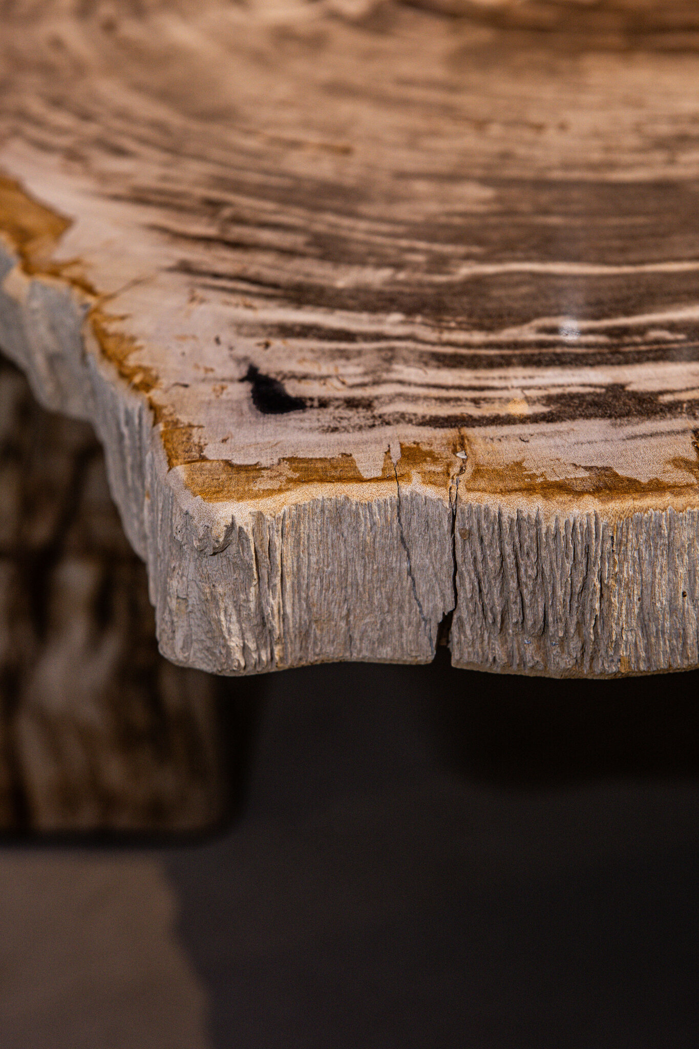 PTMD Kayo salontafel van natuurlijk versteend hout, driepoot, laag - Afbeelding 8