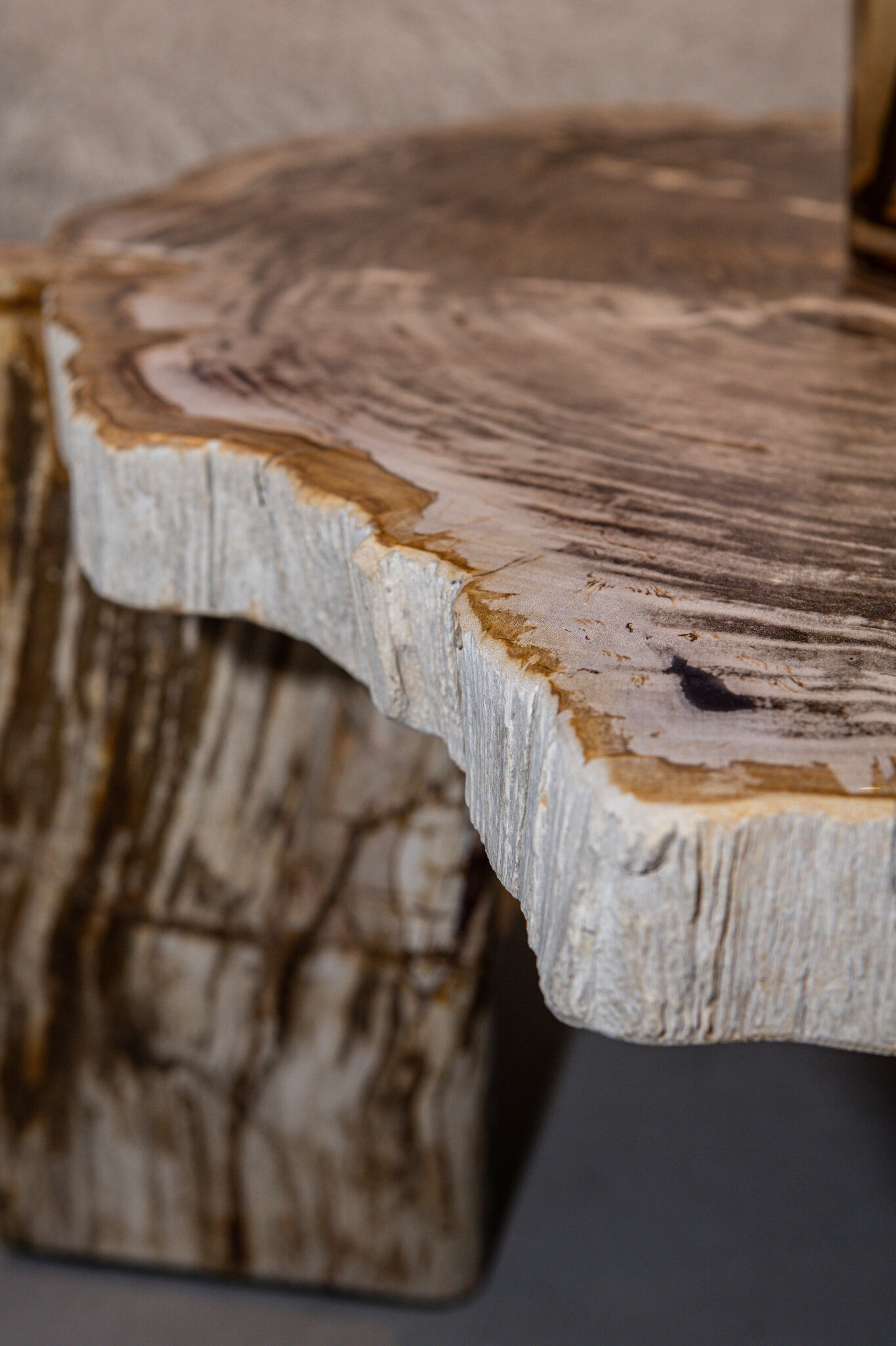 PTMD Kayo salontafel van natuurlijk versteend hout, driepoot, laag - Afbeelding 9